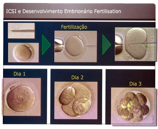 Clínica Synesis